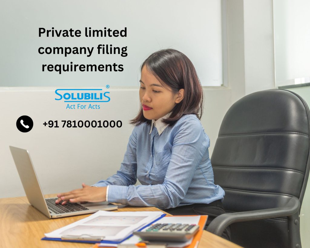 Private limited company filing requirements